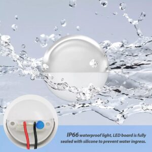 Half Round Courtesy Lights 12V 1.7" LED - White Dome