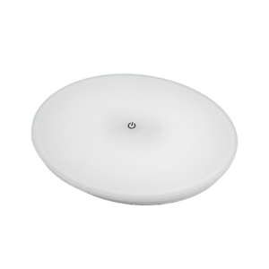 Light Roof 53R Ofolux 2011 Small