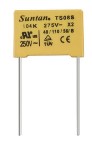 Metallised Polypropylene X6 Capacitor 22nF 250VAC